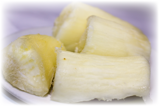 Yuca